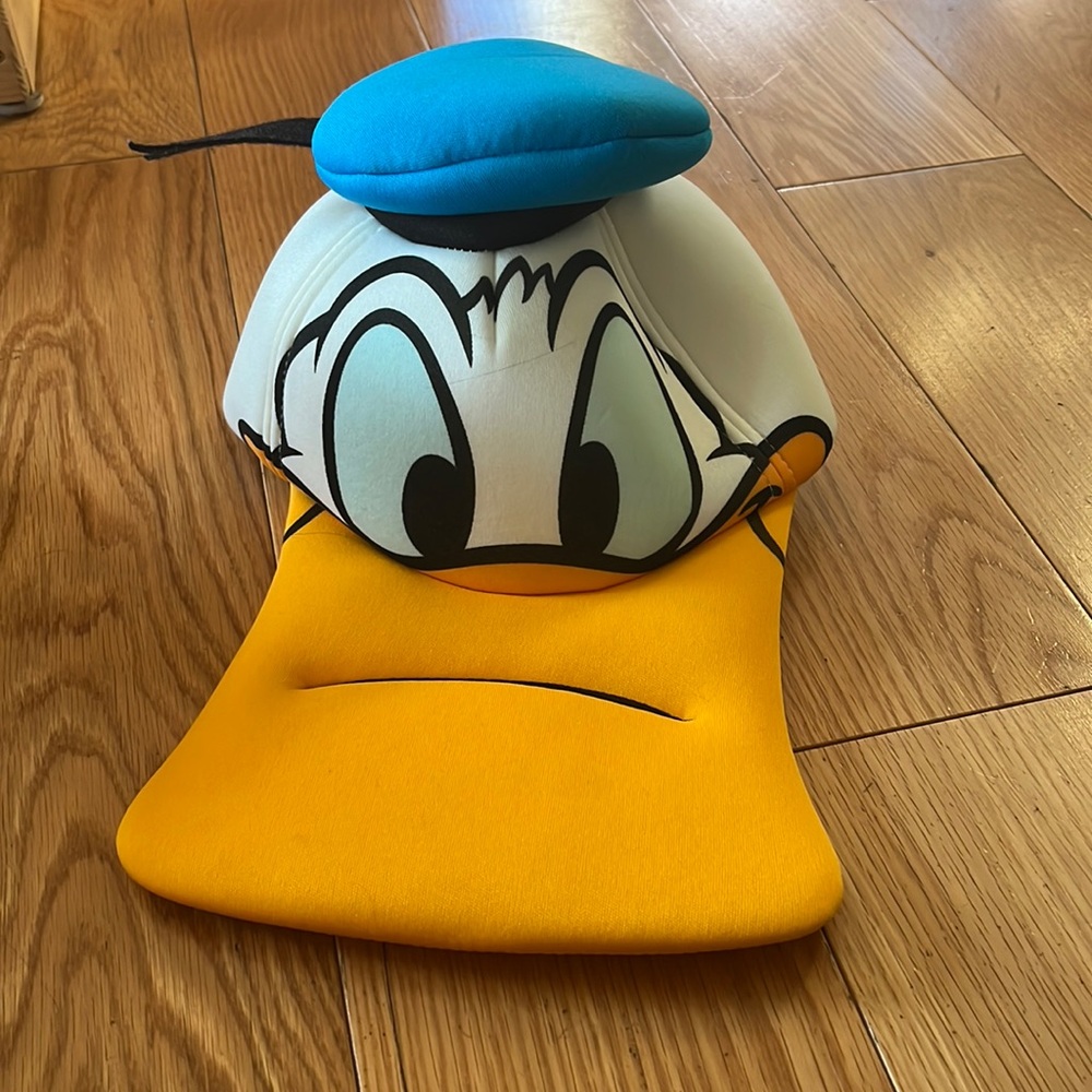 Donald Duck Hat